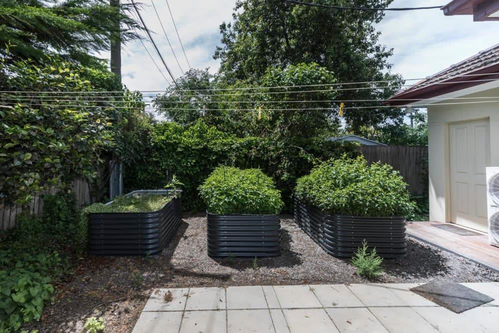 3 Bdrm 2 Bthrm House Close To Canberra Cbd & Anu Dış mekan fotoğraf